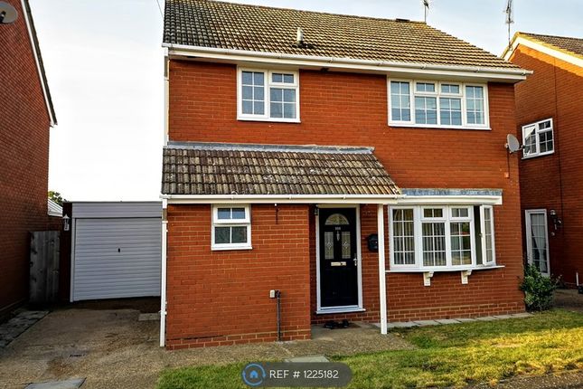 Detached house to rent in St Fabians Drive, Chelmsford CM1