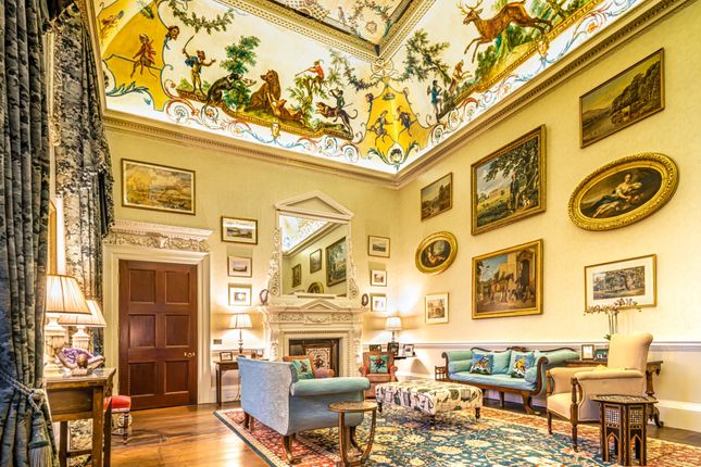 Kp Monkey Room