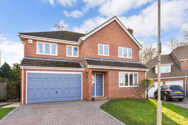 Detached house for sale in Lower Mead, Petersfield, Hampshire