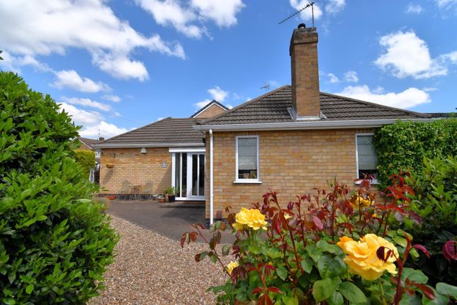 Detached bungalow for sale in Brixham Drive, Wigston