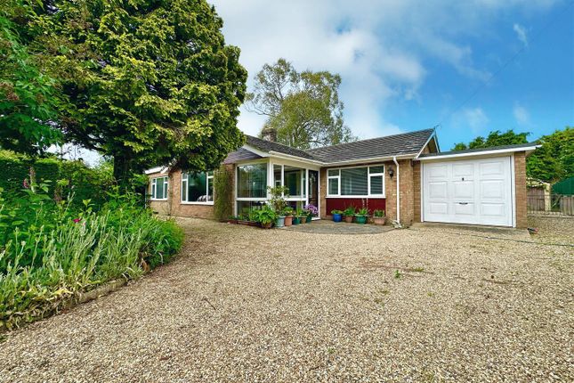 Thumbnail Detached bungalow for sale in Whimpwell Green, Happisburgh