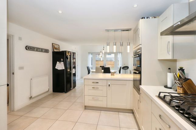 Kitchen Long Shot