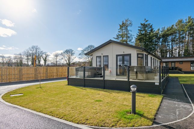 Lodge for sale in Ruthven Falls, Alyth, Perthshire