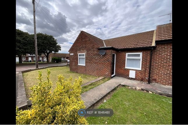 Thumbnail Bungalow to rent in Hillcrest, South Shields