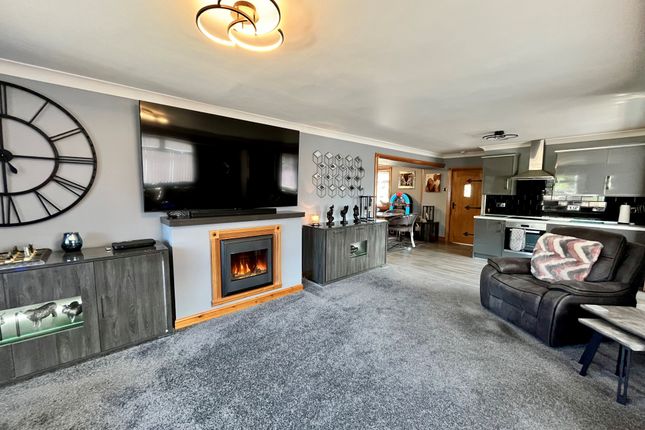 25, Burnbrae, Sauchie photo 4