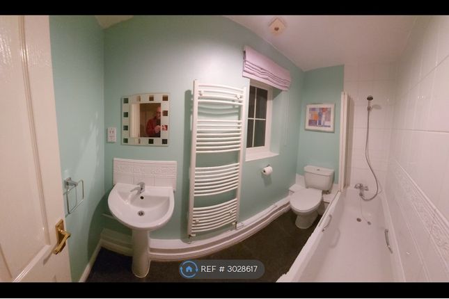 Buccaneer Grove, Newport photo 4