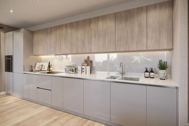 Contemporary Kitchen In The Light Palette
