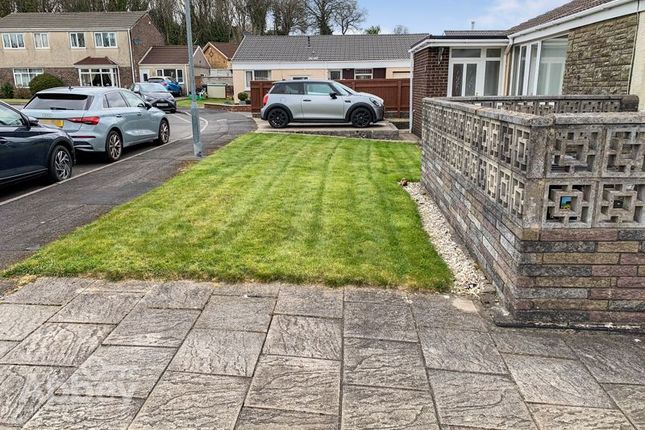 Rear Garden 2
