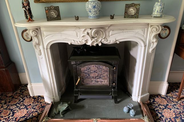 Drawing Room - Effel Multi-Fuel Stove
