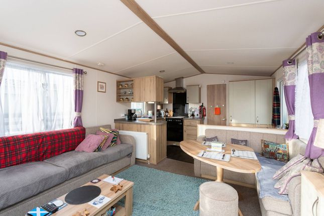 Annsmuir Caravan Park, Cupar photo 4
