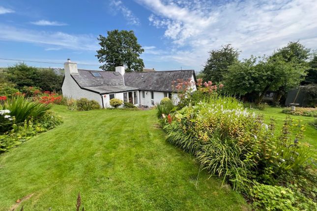 Glandwr, Pentrecwrt, Llandysul photo 3