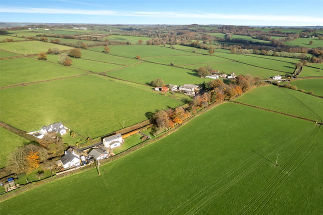 Sunnyside,, Cotleigh, Devon photo 3