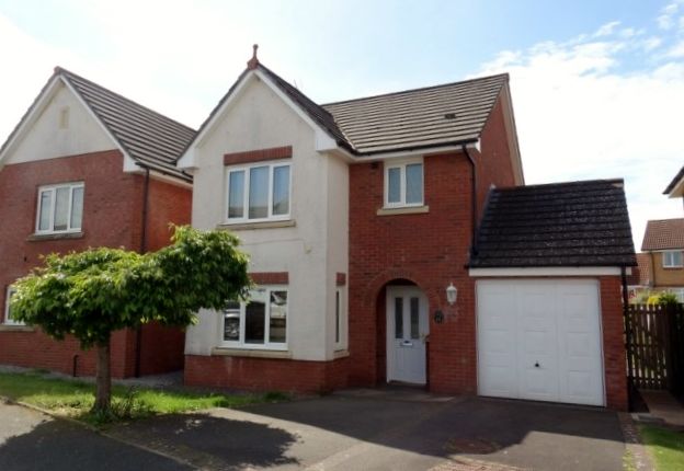 Thumbnail Detached house to rent in Barnhill Place, Dumfries