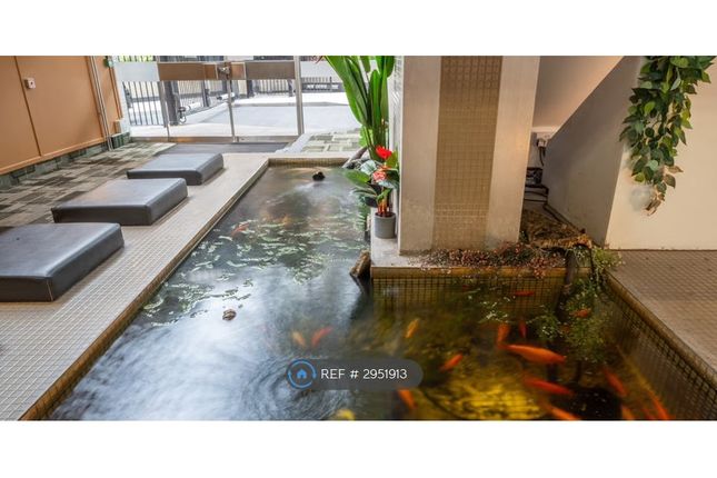 The Water Gardens, London photo 3