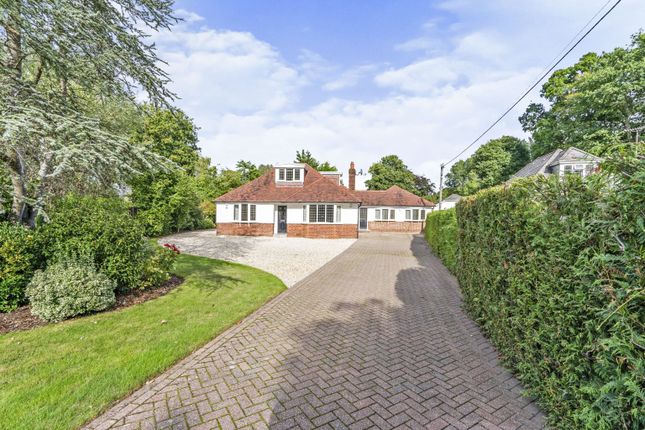 Thumbnail Bungalow for sale in Hazel Grove, Ashurst, Hampshire