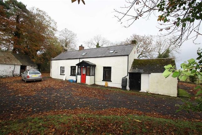 Thumbnail Detached house to rent in Lough Road, Lisburn