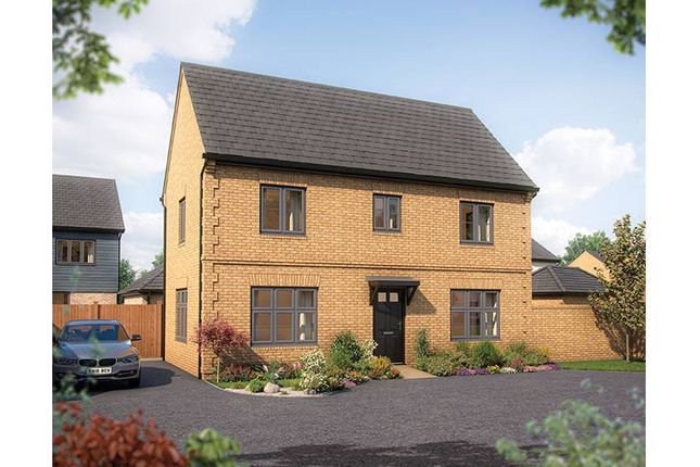 Thumbnail Detached house for sale in "Spruce" at Yardley Road, Olney