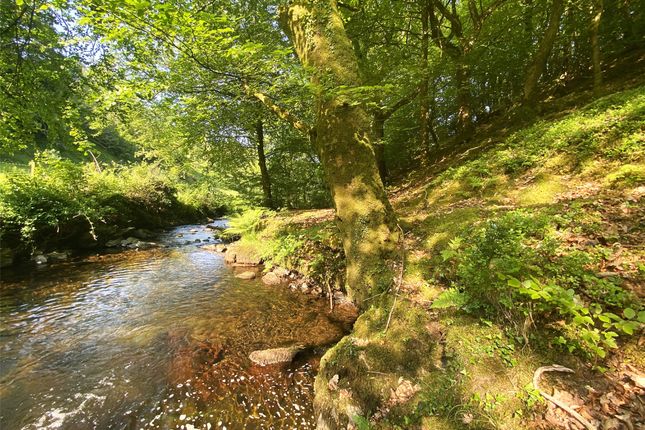 Tarr Ball,, Porlock, Minehead photo 2