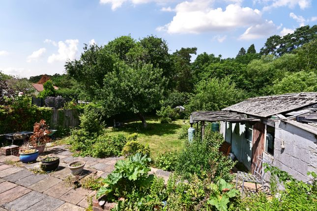 3, Bower Road, Farnham photo 4