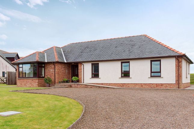 Thumbnail Bungalow for sale in Gillfoot, Southerness, Dumfries And Galloway