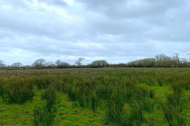 Land for sale in Ponthirwaun, Cardigan