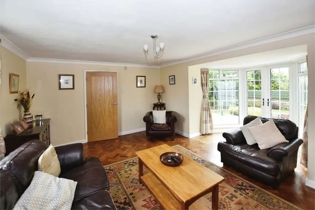 Rosedene, East Street Ipplepen, Newton Abbot photo 4