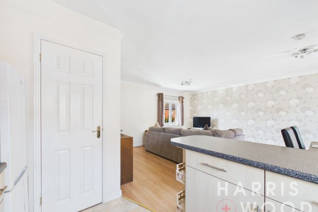 63 Springham Drive, Colchester, Essex photo 4