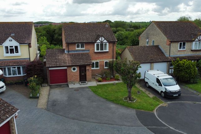 Thumbnail Detached house to rent in Selworthy Close, Bridgwater