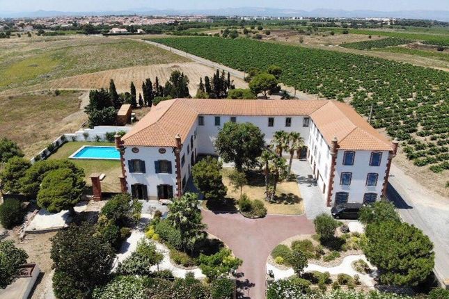 Property for sale in Vineyard, Corbires, Langeudoc Roussillon