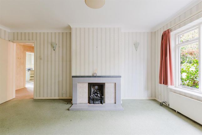 The Woods, Ickenham photo 3