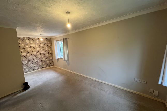 Crawley photo 5
