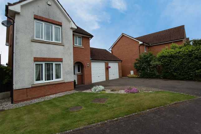 Thumbnail Detached house for sale in Barnhill Road, Dumfries