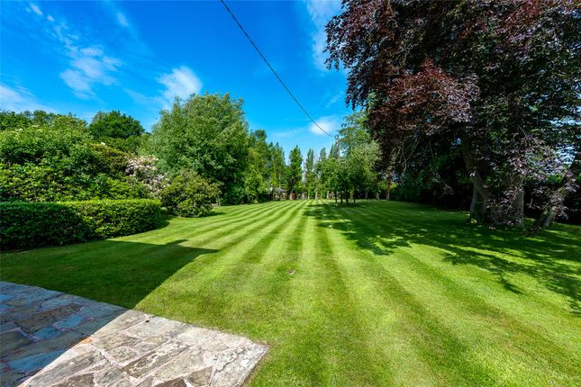 Lawned Garden