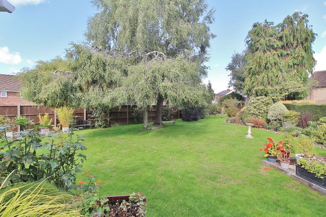 Detached bungalow for sale in Ashling Gardens, Denmead, Waterlooville