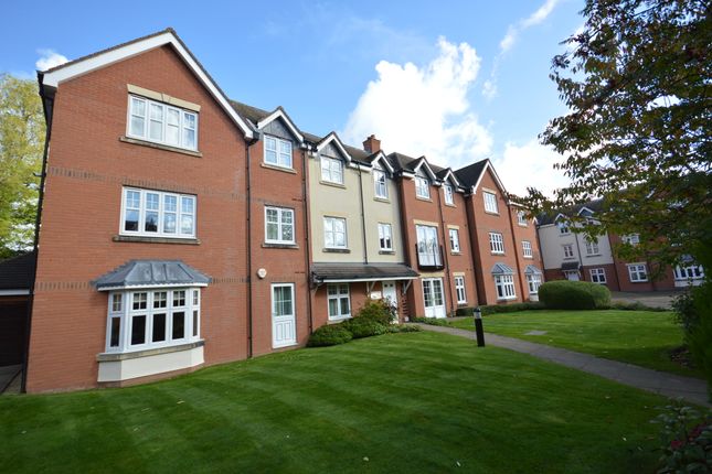 Creative Apartments To Rent Solihull with Best Design