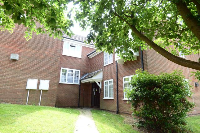 Studio to rent in Somersby Close, Luton