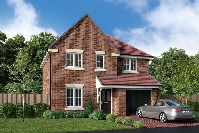 Thumbnail Detached house for sale in "The Skywood" at Mulberry Rise, Hartlepool