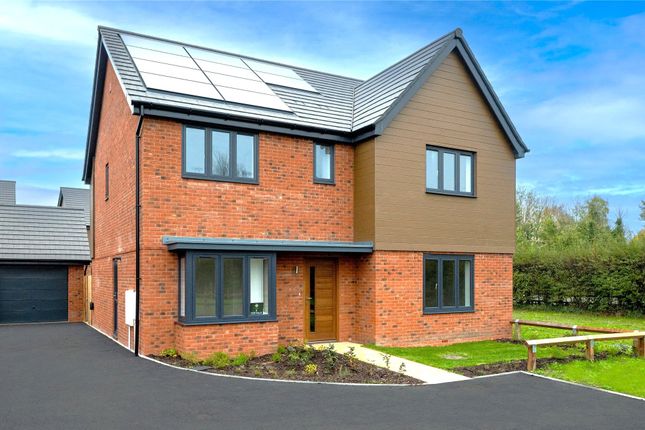 Plot 5