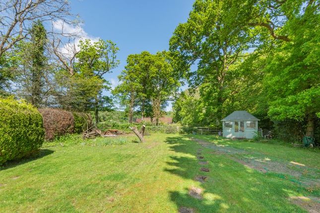 Dene Cottage, Hole Hill, Westcott photo 3