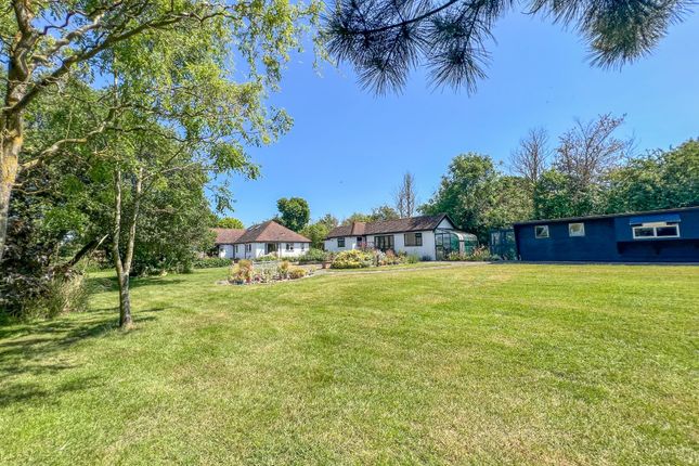Detached bungalow for sale in Lark Hill Road, Canewdon, Rochford
