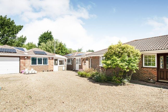 Thumbnail Bungalow for sale in Martineau Lane, Hastings, East Sussex