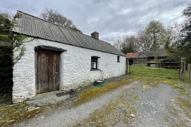 Wenallt Cottage, Aberystwyth photo 4