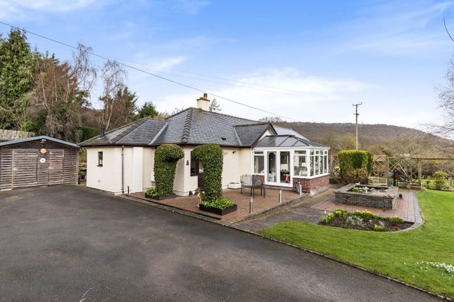 Thumbnail Detached bungalow for sale in Bungalow With 1 Acre &amp; Planning, Tillington, Hereford