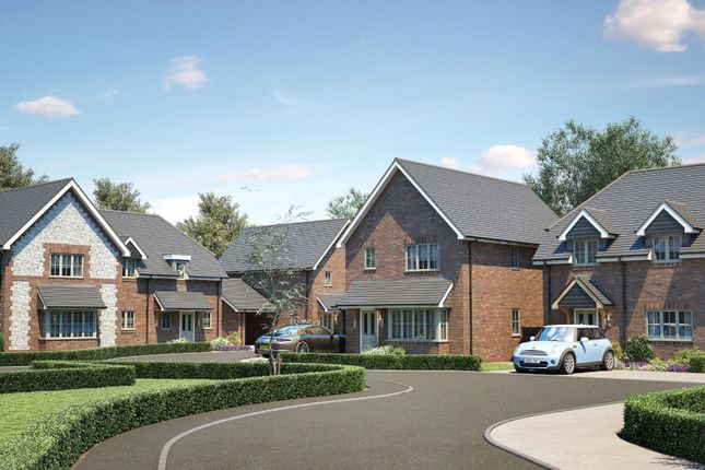 Plot 6 Stable Mews, Wandley's Lane, Chichester photo 3