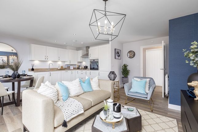 Open Plan Space For Entertaining