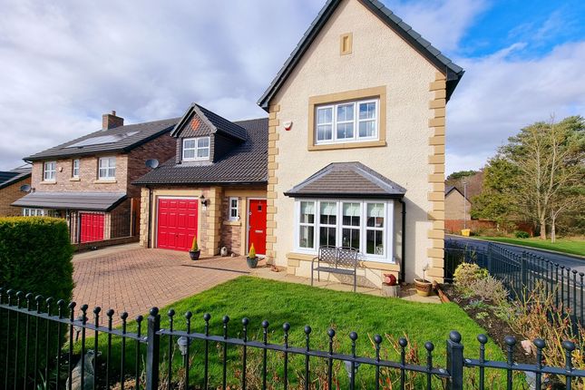 Thumbnail Detached house for sale in Lawther Walk, Consett