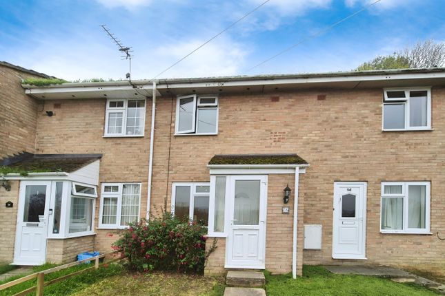 Editedimage-A7057702-7520-4775-B01B-4203d0889Ab1 2