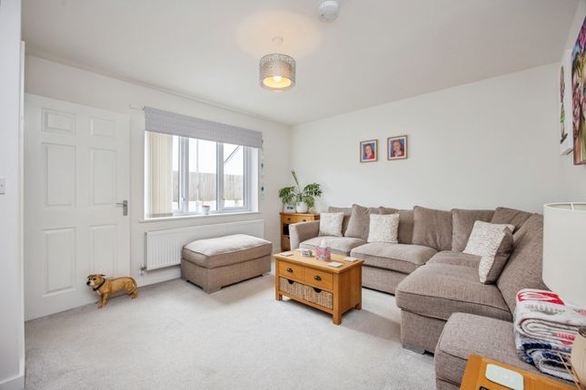 34, McCarthy Drive, St. Austell photo 3