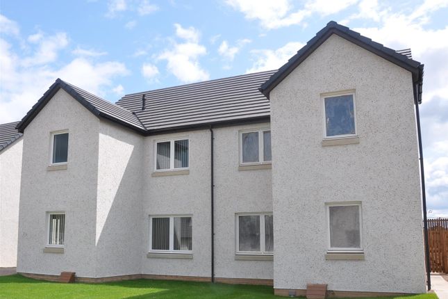 Kelso New Homes For Sale Buy New Homes In Kelso Primelocation