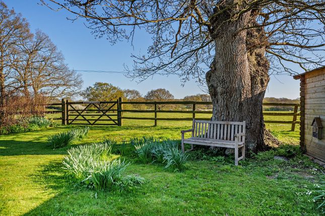 Crumps Lane, Kent photo 3